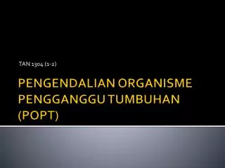 tan 1304 1 2