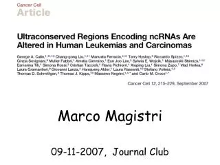 Marco Magistri 09-11-2007, Journal Club