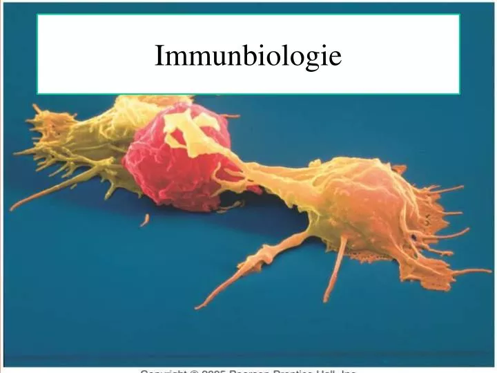 immunbiologie