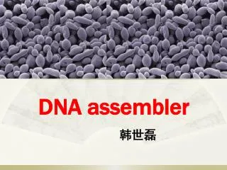 dna assembler