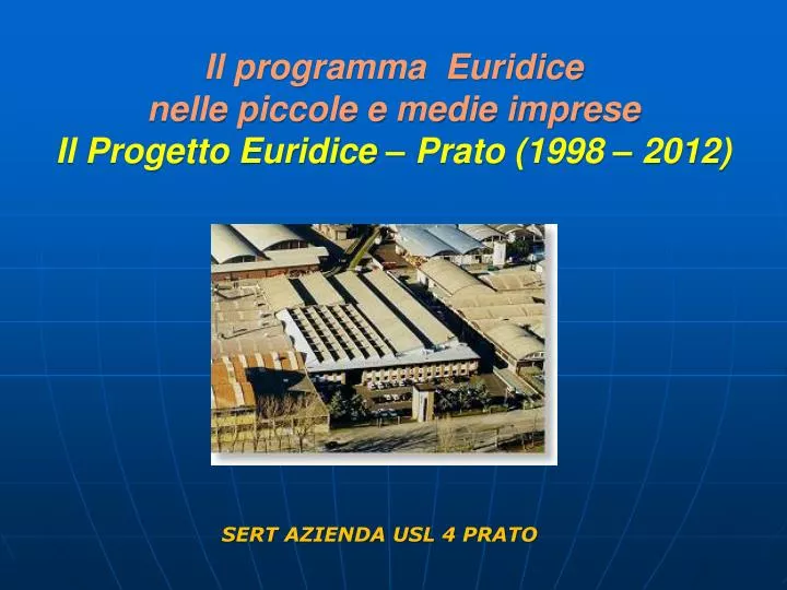 il programma euridice nelle piccole e medie imprese il progetto euridice prato 1998 2012