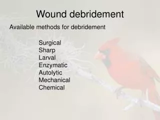 Wound debridement