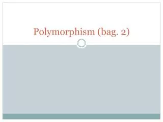 polymorphism bag 2