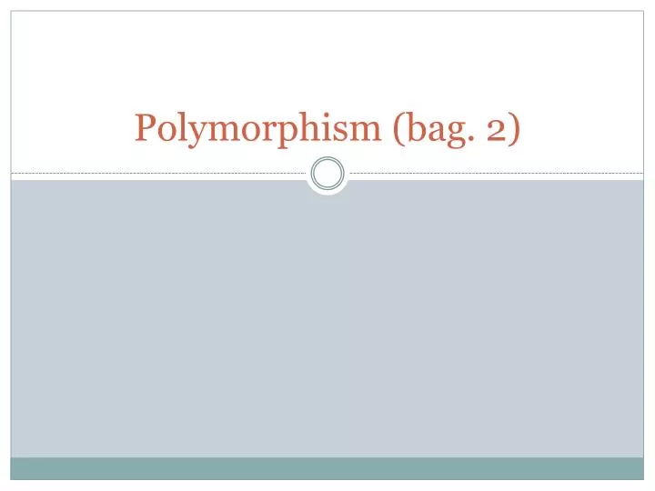 polymorphism bag 2