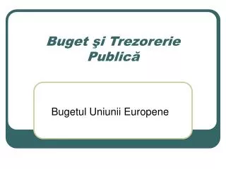 buget i trezorerie public