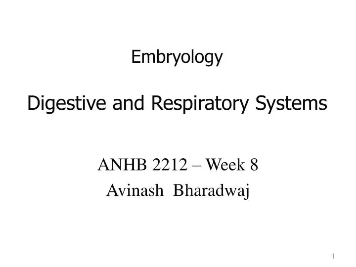 embryology digestive and respiratory systems