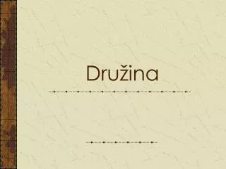 dru ina