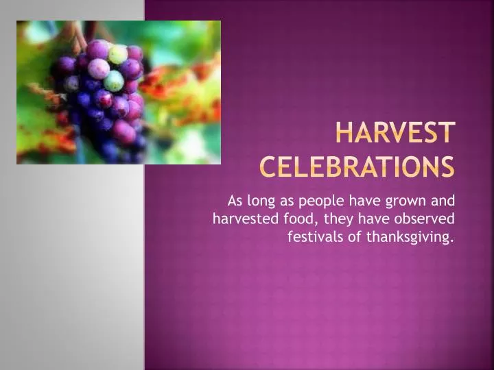 harvest celebrations
