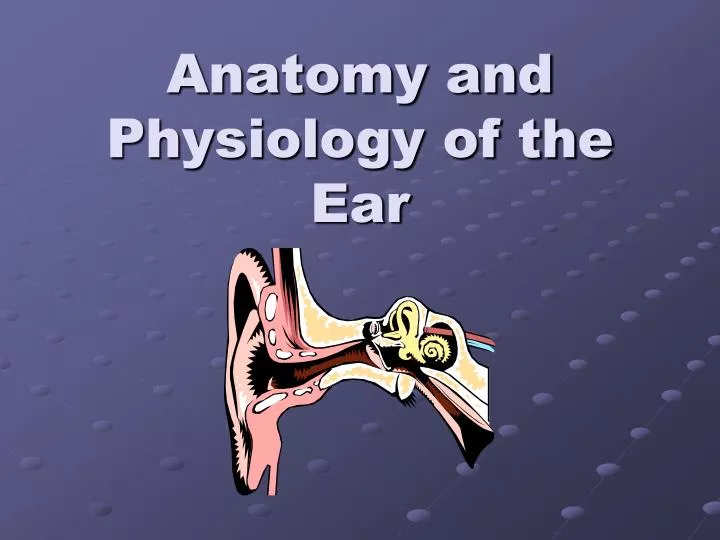 anatomy and physiology of the ear