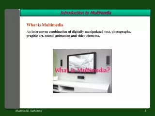 Introduction to Multimedia