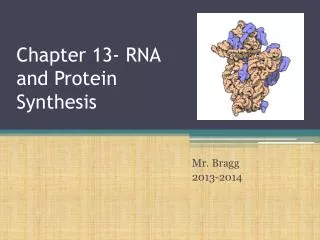 Chapter 13- RNA and Protein Synthesis