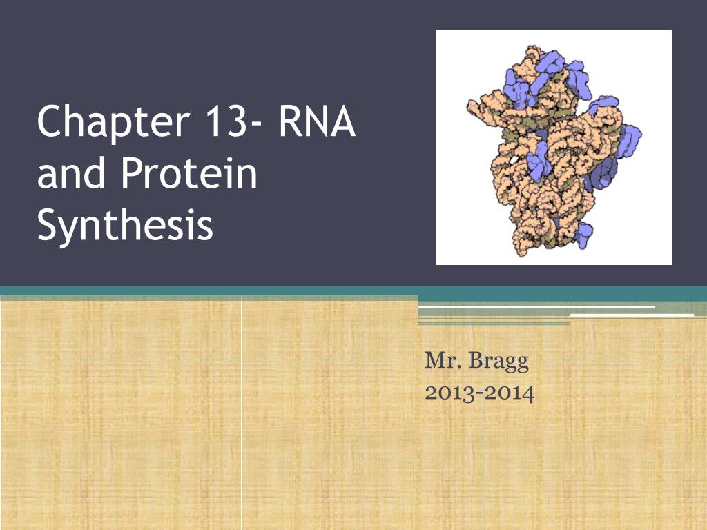 PPT - Chapter 13- RNA and Protein Synthesis PowerPoint Presentation ...
