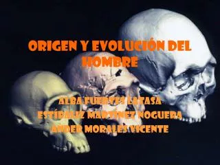 origen y evoluci n del hombre