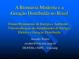 arnaldo walter awalter@fem unicamp br de fem e nipe unicamp