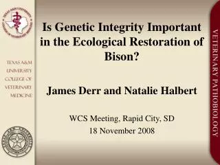 Is Genetic Integrity Important in the Ecological Restoration of Bison?