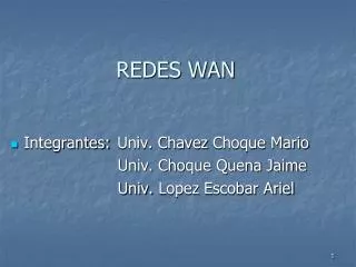 redes wan