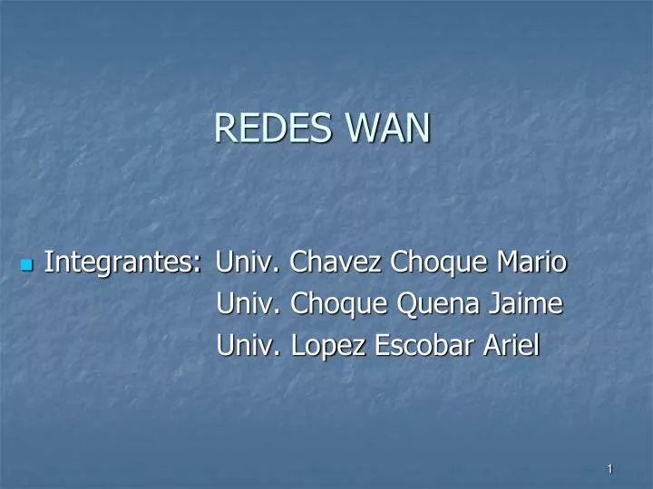 redes wan