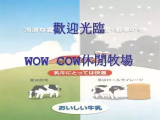 wow cow