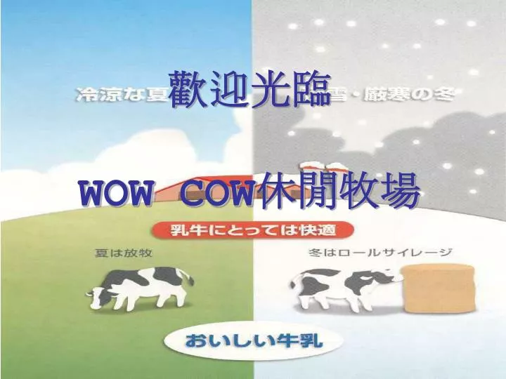 wow cow