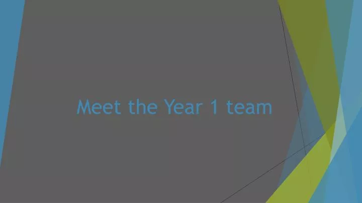 meet the year 1 team