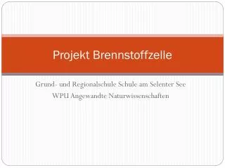 projekt brennstoffzelle