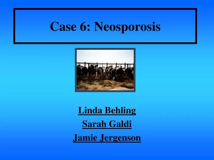 case 6 neosporosis