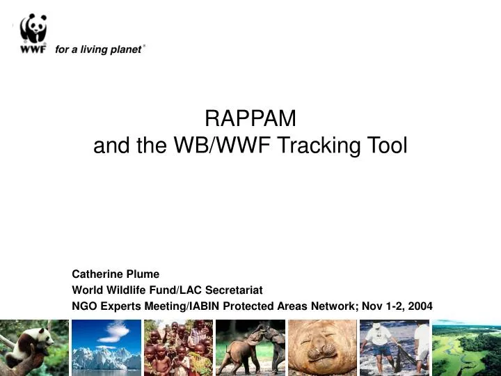 rappam and the wb wwf tracking tool