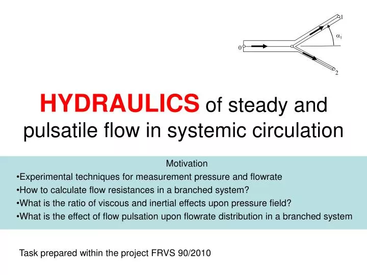 hydraulics of steady and pulsatile flow in systemic circulation