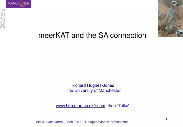 meerkat and the sa connection