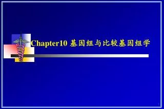 chapter10