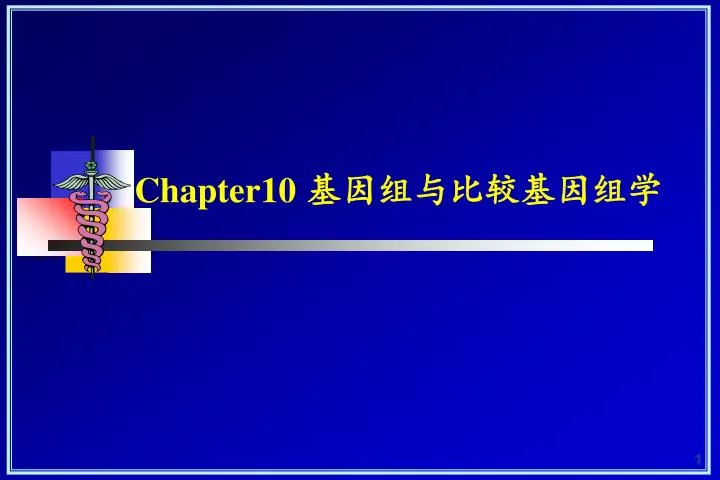 chapter10