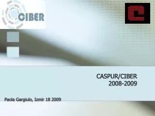 CASPUR/CIBER 2008-2009