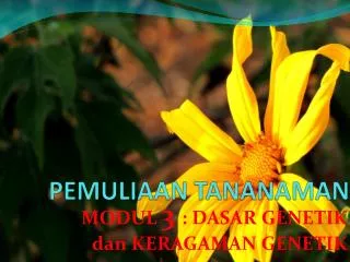 pemuliaan tananaman