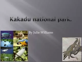 Kakadu national park.