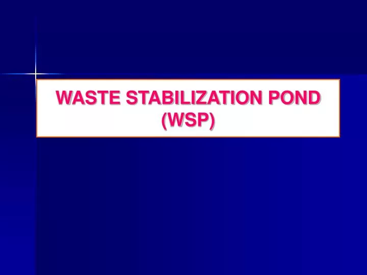 waste stabilization pond wsp