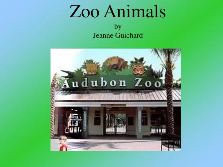 zoo animals by jeanne guichard