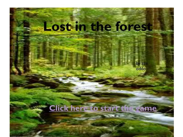 lost in the forest