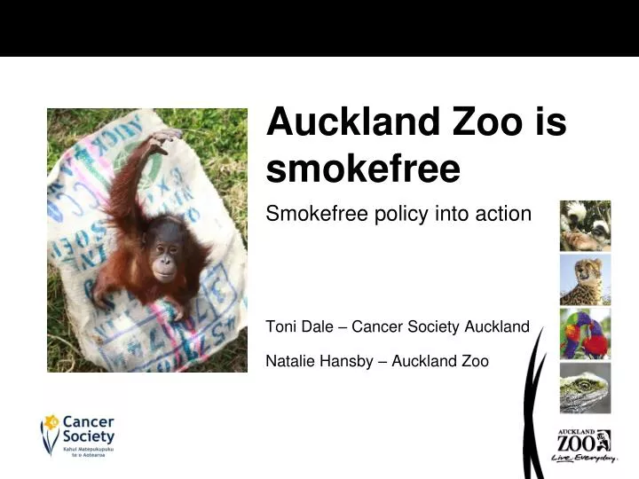 smokefree policy into action toni dale cancer society auckland natalie hansby auckland zoo