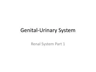 Genital-Urinary System