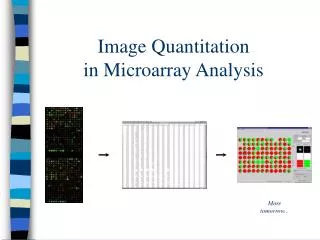 Image Quantitation in Microarray Analysis