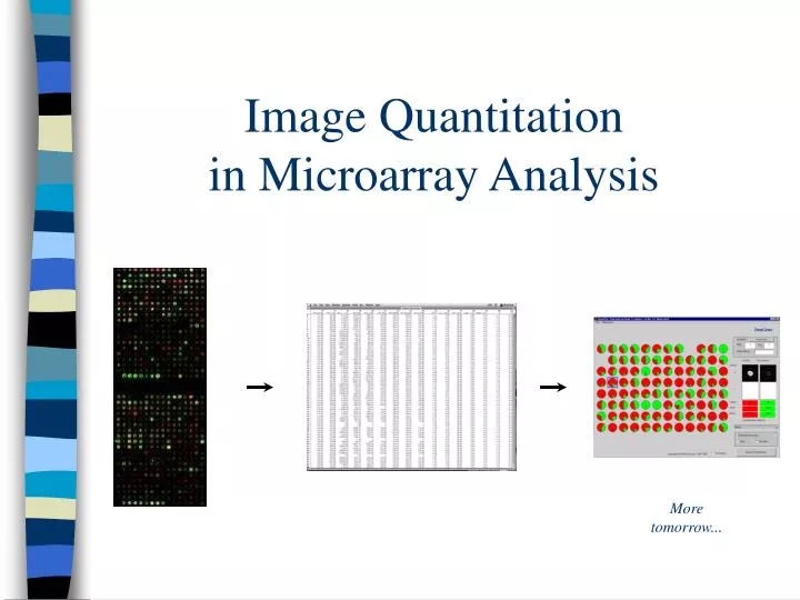 image quantitation in microarray analysis