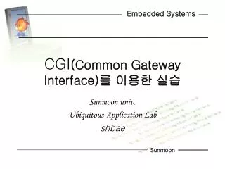 cgi common gateway interface