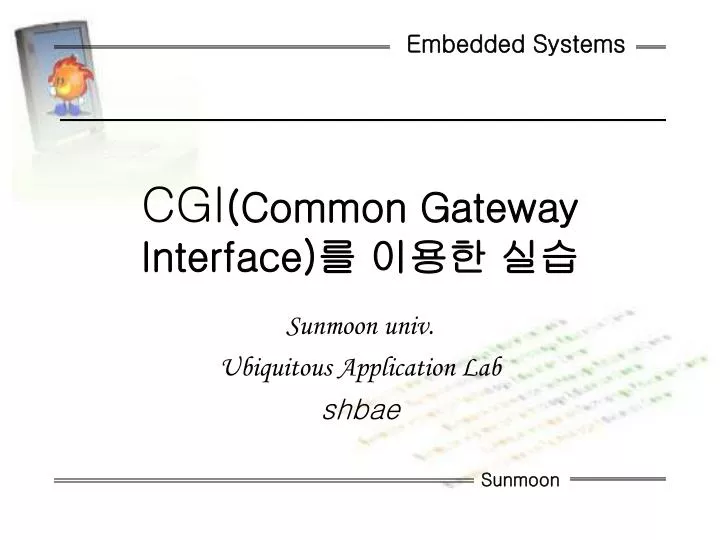 cgi common gateway interface