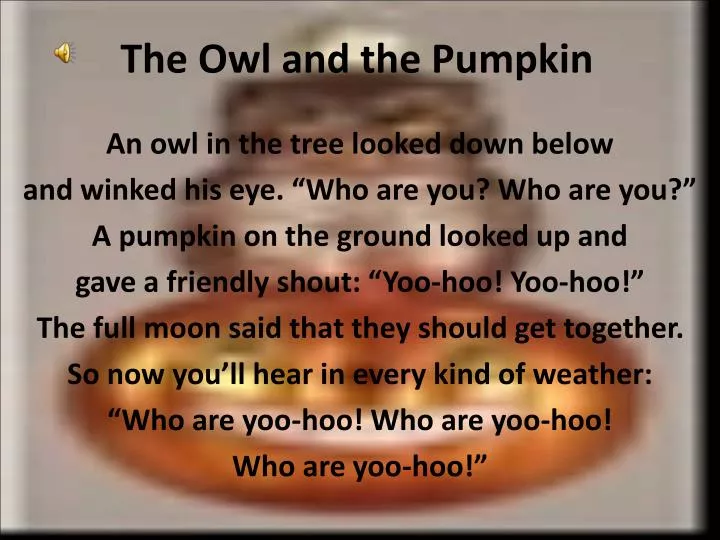 the owl and the pumpkin