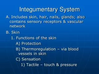 Integumentary System