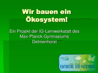 wir bauen ein kosystem
