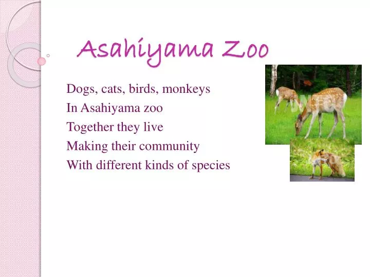 asahiyama zoo
