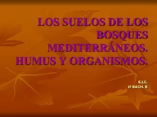 los suelos de los bosques mediterr neos humus y organismos e j c 2 bach b