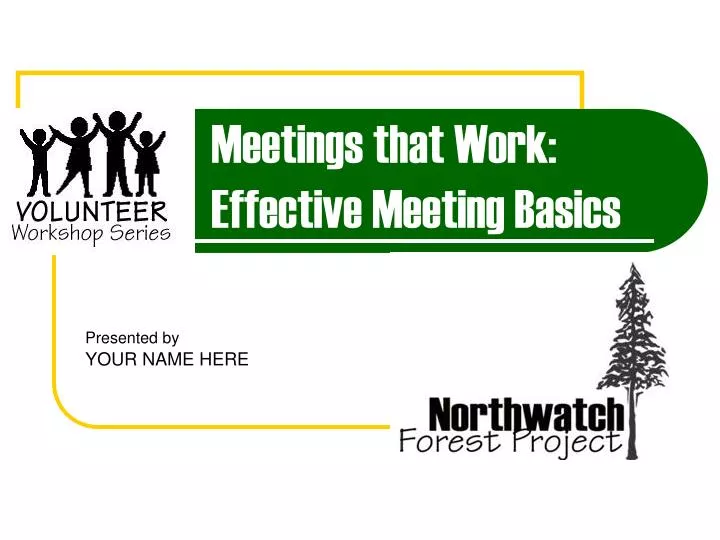 meetings that work effective meeting basics