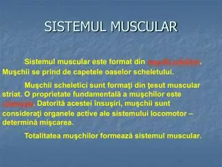 sistemul muscular